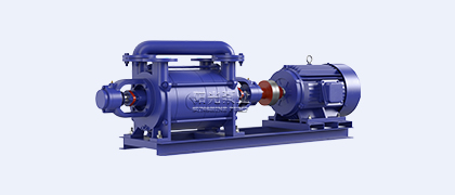 2SK型水環式真空泵